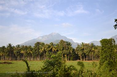 Nilgiri-Blue-Mountain-Train, Mettupalayam - Coonoor_DSC5366_H600